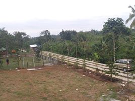  Land for sale in Cavite, Calabarzon, Alfonso, Cavite