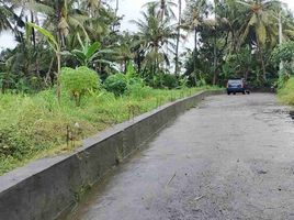  Land for sale in Blahbatu, Gianyar, Blahbatu