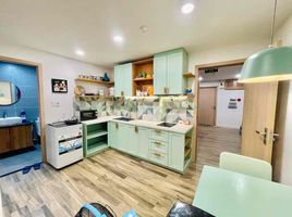 1 Bedroom Apartment for rent in My An, Da Nang, My An