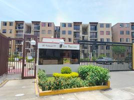 3 Habitación Apartamento en alquiler en Lima, Santiago de Surco, Lima, Lima