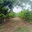  Land for sale in Virgen De Fatima, San Jacinto De Yaguachi, Virgen De Fatima