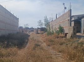  Grundstück zu verkaufen in Tequisquiapan, Queretaro, Tequisquiapan