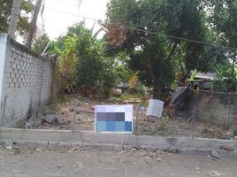  Terrain for sale in San Blas, Nayarit, San Blas