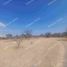  Grundstück zu verkaufen in Allende, Guanajuato, Allende