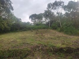  Land for sale in Santo Domingo De Los Colorados, Santo Domingo, Santo Domingo De Los Colorados