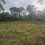  Land for sale in Santo Domingo De Los Tsachilas, Santo Domingo De Los Colorados, Santo Domingo, Santo Domingo De Los Tsachilas