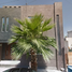 Maison 3 chambre à vendre à Monterrey, Nuevo Leon, Monterrey, Nuevo Leon