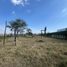  Land for sale in Zapotlanejo, Jalisco, Zapotlanejo