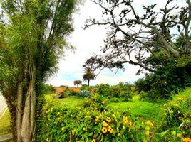  Land for sale in Tumbaco, Pichincha, Tumbaco, Quito, Pichincha