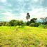  Land for sale in Tumbaco, Pichincha, Tumbaco, Quito, Pichincha