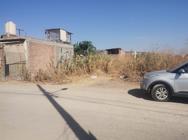 在Irapuato, Guanajuato出售的 土地, Irapuato