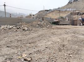  Grundstück zu verkaufen in San Juan De Lurigancho, Lima, San Juan De Lurigancho, Lima, Lima