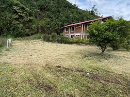  Terreno (Parcela) en venta en Dosquebradas, Risaralda, Dosquebradas