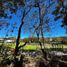  Terreno (Parcela) en venta en Zapopan, Jalisco, Zapopan, Jalisco
