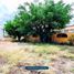 3 Bedroom House for sale in Temixco, Morelos, Temixco