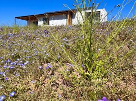 3 Bedroom House for sale in Chile, Coquimbo, Elqui, Coquimbo, Chile