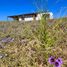 3 Bedroom House for sale in Coquimbo, Coquimbo, Coquimbo, Elqui, Coquimbo