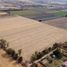  Terreno (Parcela) en venta en Salamanca, Guanajuato, Salamanca