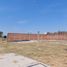  Land for rent in Ameca, Jalisco, Ameca