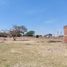  Land for rent in Ameca, Jalisco, Ameca