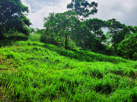  Land for sale at Ciudad Verde Calamba, Calamba City