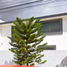 4 Habitación Villa en venta en Guadalajara, Jalisco, Guadalajara, Jalisco