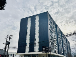 1 Bedroom Apartment for rent in Mariquina, Valdivia, Mariquina