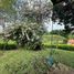 4 Schlafzimmer Villa zu verkaufen in Pereira, Risaralda, Pereira