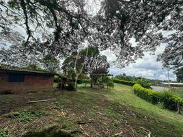  Land for sale in Pereira, Risaralda, Pereira