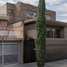 4 Schlafzimmer Haus zu verkaufen in Torreon, Coahuila, Torreon