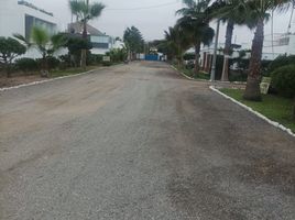  Terreno (Parcela) en venta en Asia, Lima, Asia