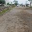  Terreno (Parcela) en venta en Asia, Lima, Asia