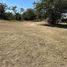  Land for sale in Yautepec, Morelos, Yautepec