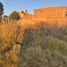  토지을(를) San Andres Cholula, 푸에블라에서 판매합니다., San Andres Cholula