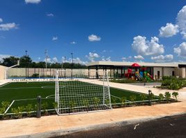  Grundstück zu verkaufen in Merida, Yucatan, Merida