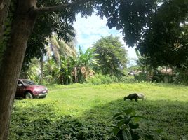  Terrain for sale in Negros Island Region, Dumaguete City, Negros Oriental, Negros Island Region