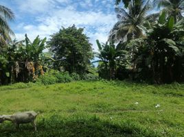  Grundstück zu verkaufen in Negros Oriental, Negros Island Region, Dumaguete City, Negros Oriental