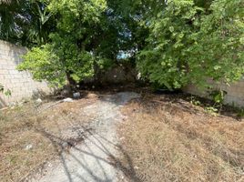  Terreno (Parcela) en venta en Merida, Yucatán, Merida, Yucatán
