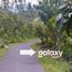  Land for sale in Jembrana, Bali, Mendoyo, Jembrana