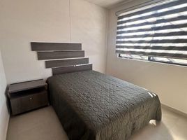 2 Schlafzimmer Haus zu vermieten in Leon, Guanajuato, Leon, Guanajuato, Mexiko