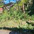  Land for sale in Cordillera, Baguio City, Benguet, Cordillera