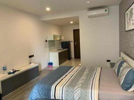 1 Phòng ngủ Chung cư for rent in Phường 12, TP.Hồ Chí Minh, Phường 12