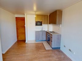 2 Habitación Apartamento en alquiler en Concepción, Biobío, Concepcion, Concepción
