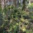  Terreno (Parcela) en venta en Los Ríos, Mariquina, Valdivia, Los Ríos