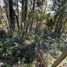  Terreno (Parcela) en venta en Los Ríos, Mariquina, Valdivia, Los Ríos
