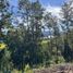  Terreno (Parcela) en venta en Los Ríos, Mariquina, Valdivia, Los Ríos