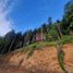  Terreno (Parcela) en venta en Los Ríos, Mariquina, Valdivia, Los Ríos