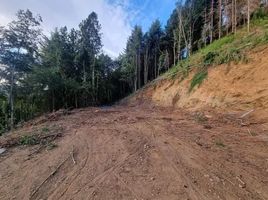  Terreno (Parcela) en venta en Los Ríos, Mariquina, Valdivia, Los Ríos