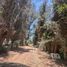  Land for sale in Chile, Buin, Maipo, Santiago, Chile