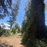  Land for sale in Chile, Buin, Maipo, Santiago, Chile